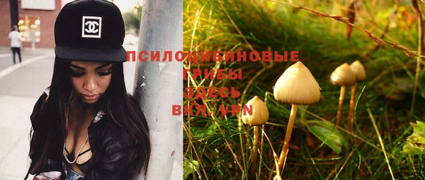 стафф Балабаново