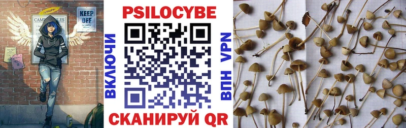 Псилоцибиновые грибы ЛСД Вихоревка